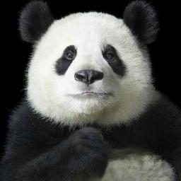 pandanael's profile picture. 