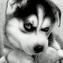 alejandro fernando - @cruzito_ale - Twitter