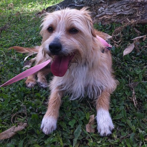 jvergar2's profile picture. Ciudadano.