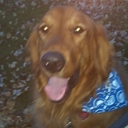 Christina Chase - @Chasespecfic - Twitter