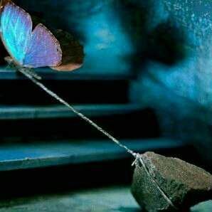 Nooja14's profile picture. يا جباااار السماوات والارض اجبرني جبرااا يليق بجبرك