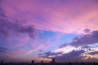 framboise080's profile picture. カメラを下げながら世界一周するのが憧れ。夫婦で世界中旅してるブログとか見るとすごく癒される。そういう心や感情が揺さぶられるような場所にもっともっと行きたい。去年はアメリカだった。アメリカのニューオーリーンズはいろんな意味で刺激的で私の心でいろんなものを感じさせてくれた。演劇/オーケストラ/美術館/コピーライティング/