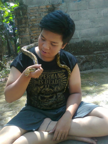 NovabikuL's profile picture. 