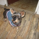 martha alarcon perez - @marthaalarconpe - Twitter