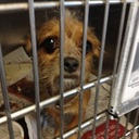 patricia faye mann - @pmann1954 - Twitter