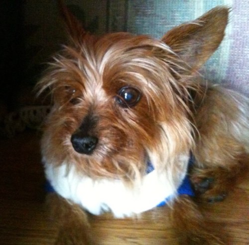 JojoS919's profile picture. 