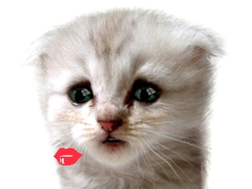 leigh glydel p millo