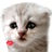 leighglydelpmil's profile image