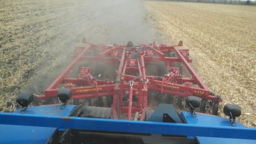 JewisonMatt's profile picture. 