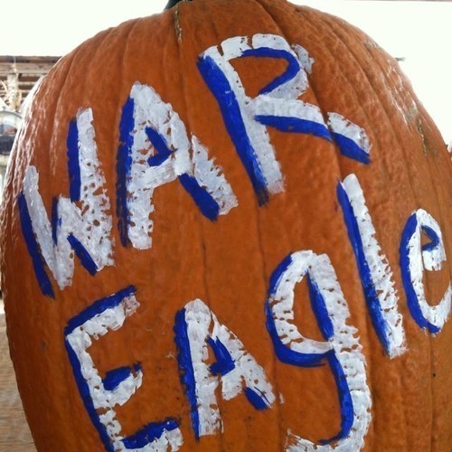 husband, father, Sys Admin, War Eagle
