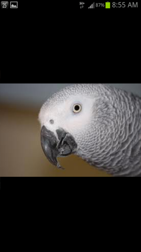 AnimalsWorldUAE's profile picture. 