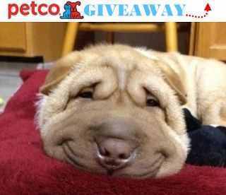 galaxyclass666's profile picture. 