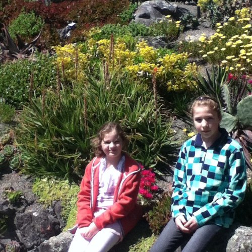 ioana1234567's profile picture. I love one direction