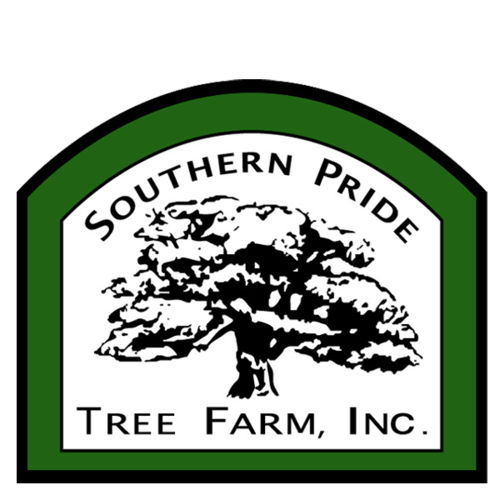 sptreefarm's profile picture. Live Oak Nursery