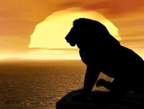 111_AAA_111's profile picture. مواطن صالح انفذ ماتريده الحكومة اسدد فواتيري والتزم باشارات المرور واشجع الهلال وأنثنى على كبدي خشية أن تصدعا , أؤمن بالمثل القائل  الله لايحد الإبل على فهاد