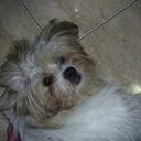 daisy mott - @daisy_lachica - Twitter