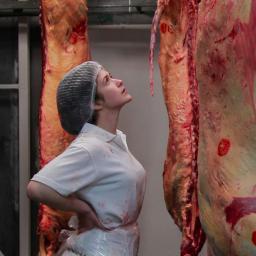 Maddie, a young meat-eater, goes to work in an Australian abattoir for five weeks to find out if she can care about animals and eat them at the same time.