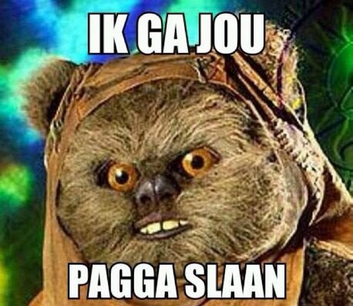 Het echte account van paggabeer, volg en hoor zijn nieuwste feitjes ! 

Paggabeermembers : @obeyappel_ @obeypeer @obey_mango
