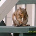 robin holderman - @bizzotch2 - Twitter