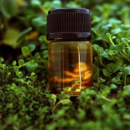 dTERRA2's profile picture. 闘う女性に健康と美と自信を届けたい！注目商品は世界最高品質をうたうdōTERRAのエッセンシャルオイル及びその他生活雑貨です★その他美しく、活力にあふれた生活を送るための情報を発信します♡