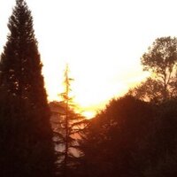 Melba Cohen - @delejust Twitter Profile Photo