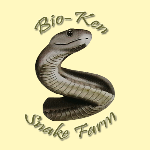 BioKenSnakeFarm's profile picture. Bio-Ken is a research centre, which deals with reptiles, especially snakes and snake-bite.