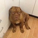 india stone - @indiacharlotte1 - Twitter