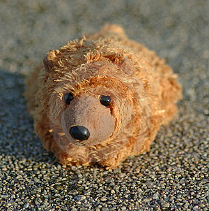 ArchitectofHope's profile picture. Founder of Architect of Hope, art student. mother. advocate. volunteer. Animal lovers. optimist and always hoping to bring positive changes in peoples' lives.