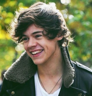 dedicated to 5 flawless sex gods. @onedirection follows :)