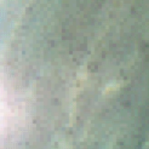 hamalus's profile picture. 