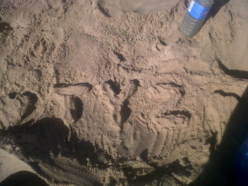 Sneemy's profile picture. 