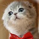 Jong Dae AHN - @elviahn - Twitter