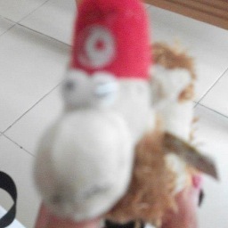 I am Camille and I am a Camel. 
I make youtube videos. Check them out: IAmCamilleTheCamel