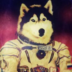 SpaceLifeRadio's profile picture. Talking science, fiction & the future on ASSEMBLY RADIO Fridays 10am-12pm CAT ~ Close your eyes, open your mouth; here comes the future! 
http://t.co/7IAc2ZHt