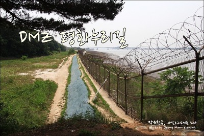 남북평화 공동번영 dmz평화공원 남북철조망제거