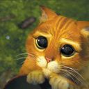 Esther Ang - @PuffinPhyllite - Twitter