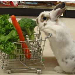 Nilpegion's profile picture. Student, Fashion Design