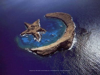 sohailfareed1's profile picture. 