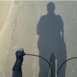 aliindrawan's profile picture. Video Gamer | Cyclist | Bass Guitarist | A Gentleman Pervert | My Tweets are MINE and does not reflect the opinions of my employer