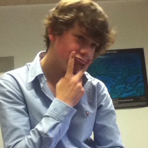 lolmullor's profile picture. ma bio un abonné=un cookie a noël