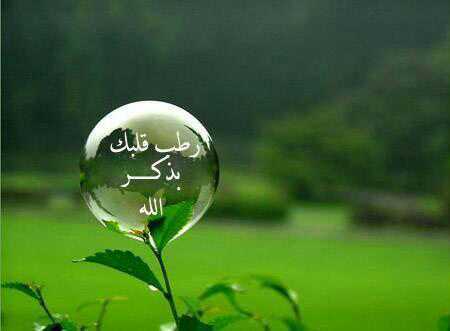 من الفقراء لله...ادارية في تعليم جدة - مدربة طموحة  

قاعدة السعادة...
﴿خُذ العَــفْو، وَأْمُـرْ بالعُرْف، وَأَعْرِضْ عنِ الجاهلين﴾     
حساب شخصي