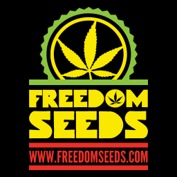 Freedom Seeds are a UK based seed bank. We stock the highest quality cannabis seed strains from the best seed breeders in the world.