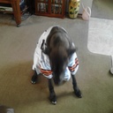 chris spangler - @christspangler - Twitter