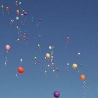 segno (@segnonline) 's Twitter Profile