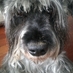JMD (@josepmdp) Twitter profile photo JMD (@josepmdp) Twitter profile photo