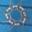 Maureen Murillo - @MaureenMurillo - Twitter