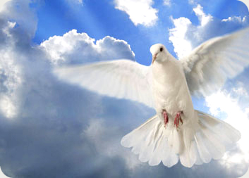 Bringing real Christianity back to the forefront.