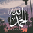 MariamAlHashmi2's profile image