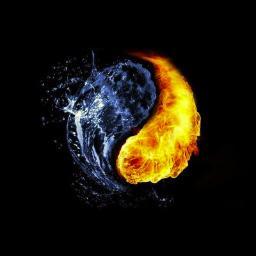 Diretora de arte,Web designer,amo astronomia, vida marinha,cinema,viajar e todos os seres vivos.Sou visceral e amo a vida!E não estamos sós nunca...