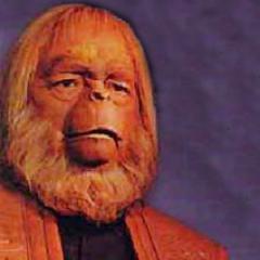 Just another misanthropic orangutan from the future forced to twitter by court order to learn how 'intelligent' and 'evolved' humans are